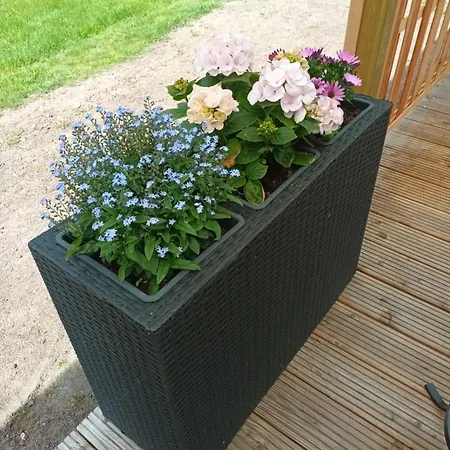 アパート Ostfriesenruhe Großefehn